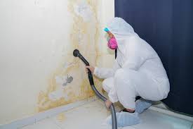 Best Residential Mold Inspection & Testing in Silverdale, WA